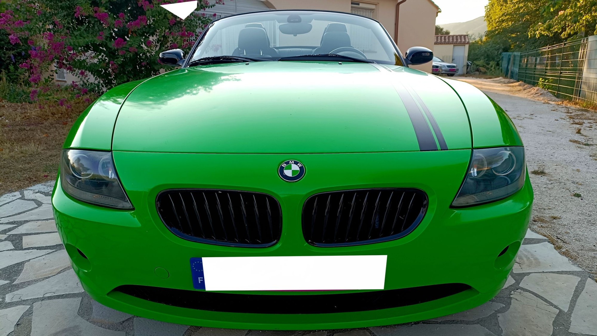 BMW Z4 — photo 2